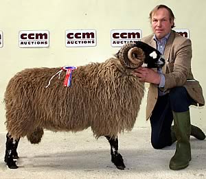 Robert Lambert is pictured with his Skipton Dalesbred ram champion.