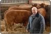 lakeland beef