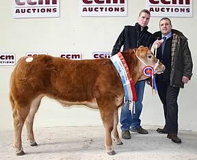 Tom Akrigg, left, with the Skipton store cattle with show potential champion and judge Kevin Ludgate.