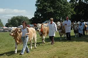 Grand parade at the Cumberland County Show
