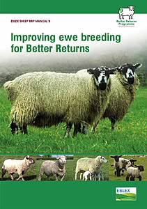 Improving ewe breeding for Better Returns