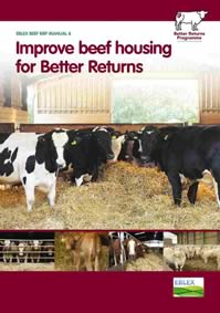 Improve beef housing for Better Returns