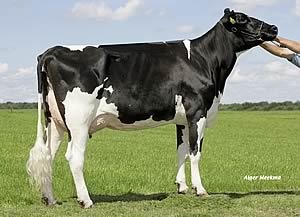 Klaasje VG86