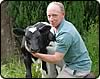 carhall holsteins