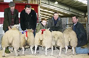 January prime lamb champions at Skipton
