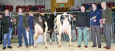 Craven Dairy Auction January champion and reserve