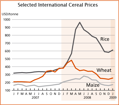 international cereal prices