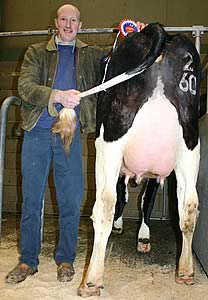 Robert Swires with his Craven Dairy Auction February champion
