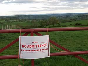 no admittance foot and mouth disease