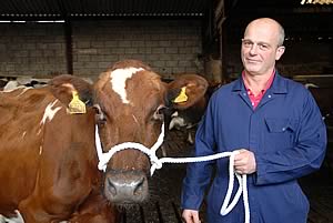 David Galbraith with show cow Sunny Bank Finery.