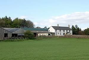 Bavington Hill Head Farm