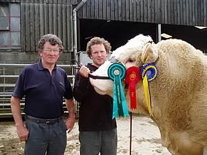 Keith Hawkey and his son Piers with their award winning Simmental Bull, Sowenna Tamar