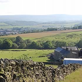 Herding Hill Farm