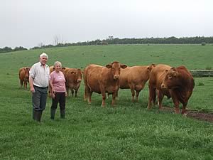 David and Barbara Bowley and the Ridgemere herd of South Devon cattle
