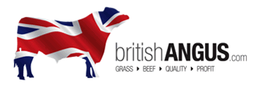 British Angus