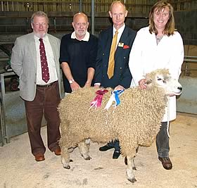 Leicester Longwool