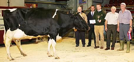 Craven Dairy Auction champion