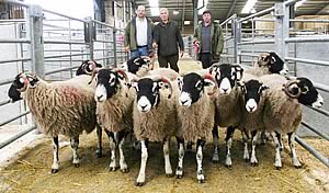 Roy Nelson is pictured centre with his Skipton Swaledale ewe title winners, joined by co-judges Steve Hallam and Wayne Allen.