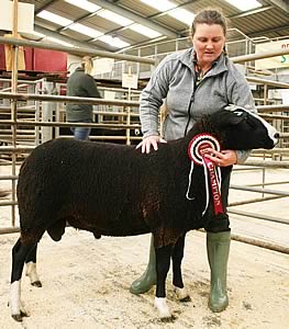 Zwartble champion