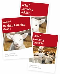 Shepherdess lamb feeding system