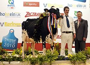 Berryholme Shottle Flo Holstein breed champion