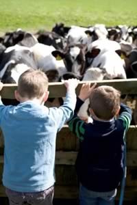 Children with cows