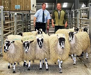David Wood, right, with his Skipton geld gimmer hoggs class winners, joined by Richard Paul, of sponsors Farmway.
