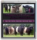 Whitepool Belted Galloways