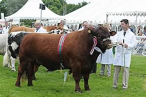 Three Counties Show