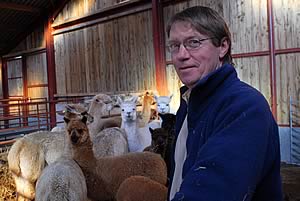 Brian Raine and Town End alpacas