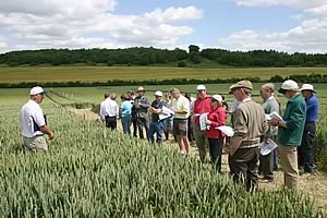 Much Wenlock trial plots