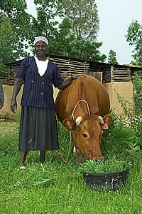 Rural women