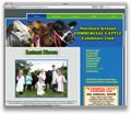 Northern Ireland Commercial Cattle Exhibitors&rsquo; Club