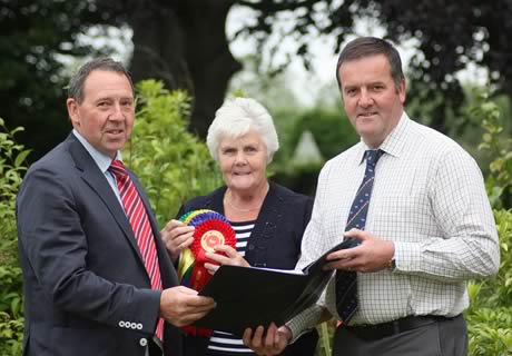 Discussing plans for the 40th Anniversary Elite Female Show and Sale are NI Simmental Cattle Breeders' Club chairman, Pat Kelly, committee member, Thelma Gorman, and secretary, Robin Boyd. 