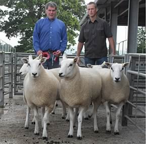IO Jones and Judge W Williams with the Champion pen of Shearlings