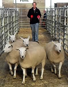 Hamish Goldie with the Champion Lleyn Shearlings