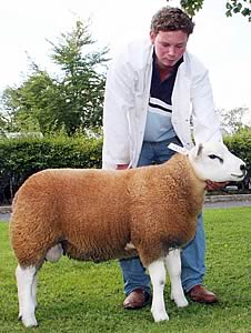Chris Riby and his Skipton Texel ram lamb supreme champion