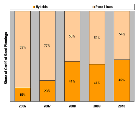 Masstock Winter OSR Planting Estimates