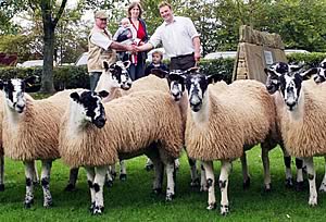 Skipton Mule gimmer lamb champions