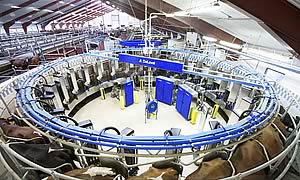 DeLaval AMR Rotary
