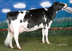 Windy-Knoll-View Pledge EX95(2) GMD DOM