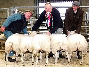prime lamb champions at Skipton