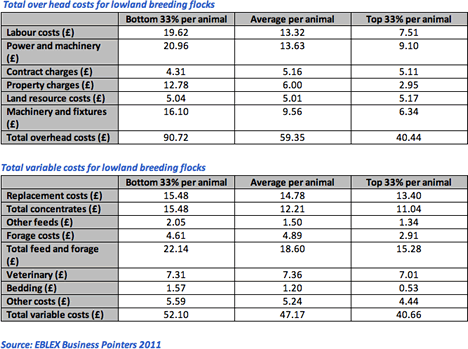 2011 Business Pointers report