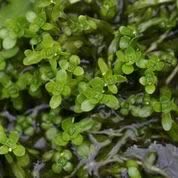 photos (C) Richard Lansdown