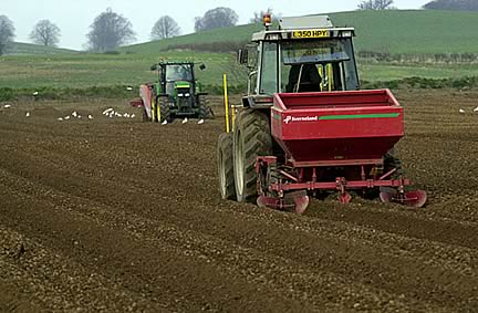 There are a multiplicity of influences on bee health globally