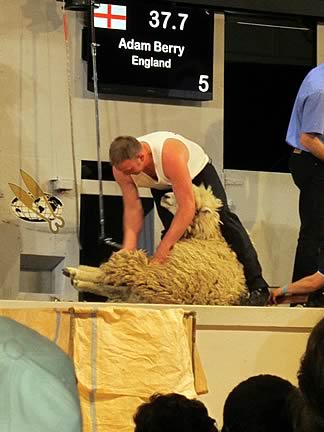 Adam Berry – world class shearer attending this year’s Open Shears Competition