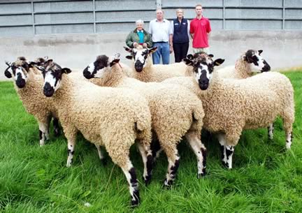 Pictured at Skipton Auction Mart with the first prize Masham gimmer shearlings are, from left, exhibitor Margaret Watkinson, Top Tags’ Piers Holmes-Smith, Carrs Billington’s Rebecca Lambert and JACS’ Gavin Haworth.