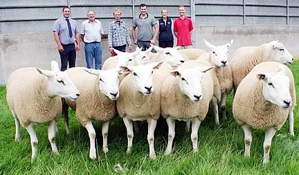 Pictured at Skipton Auction Mart with the first prize Continental gimmer shearlings are, from left, JG Animal Health’s Robert Garth, Top Tags’ Piers Holmes-Smith, exhibitor Ben Harvey, co-judge Andrew Bradley, Carrs Billington’s Rebecca Lambert and JACS’ Gavin Haworth.