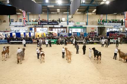 The Dairy Show
