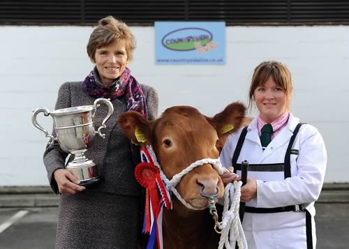  Lady Halifax, Patron of Countryside Live presents the cup for the Supreme Beef Championship to Sally Lloyd who was showing Andrew Bishop ‘s prize winning “Goldikova’, a Limousin heifer